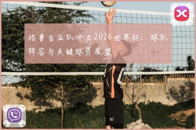 格鲁吉亚队冲击2026世界杯：球队阵容与关键球员展望