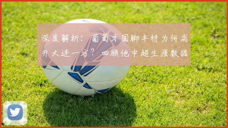 深度解析:葡萄牙国脚丰特为何离开大连一方?回顾他中超生涯数据与贡献